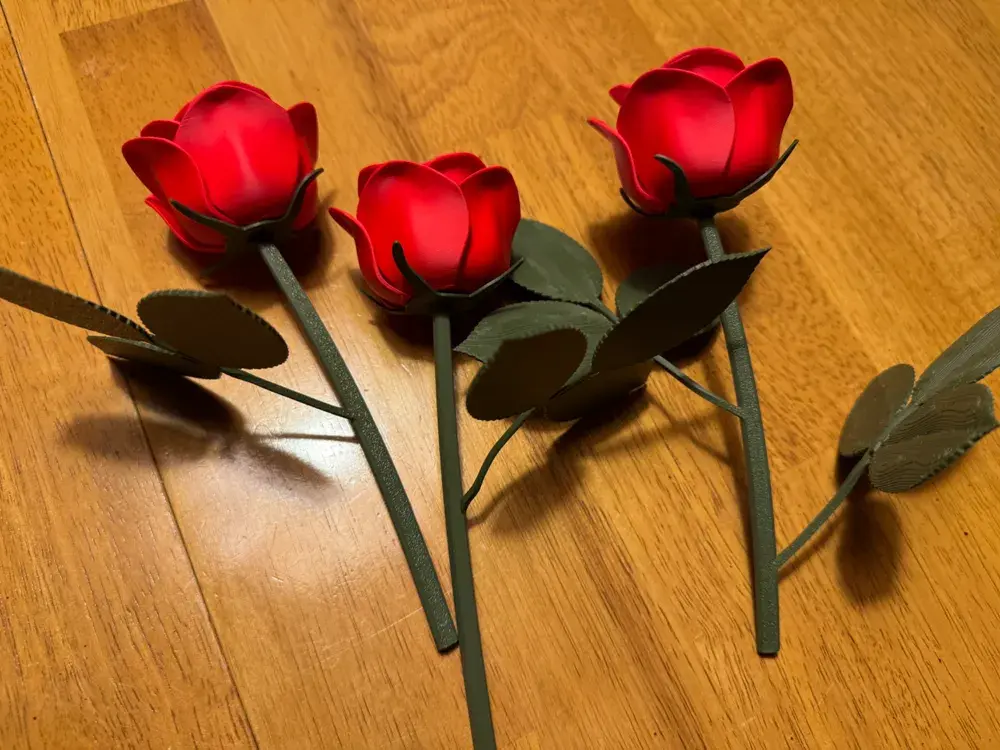 2025-01-10_53dede71105d6.webp