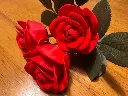 2025-01-10_cb73c5de2f9508.webp