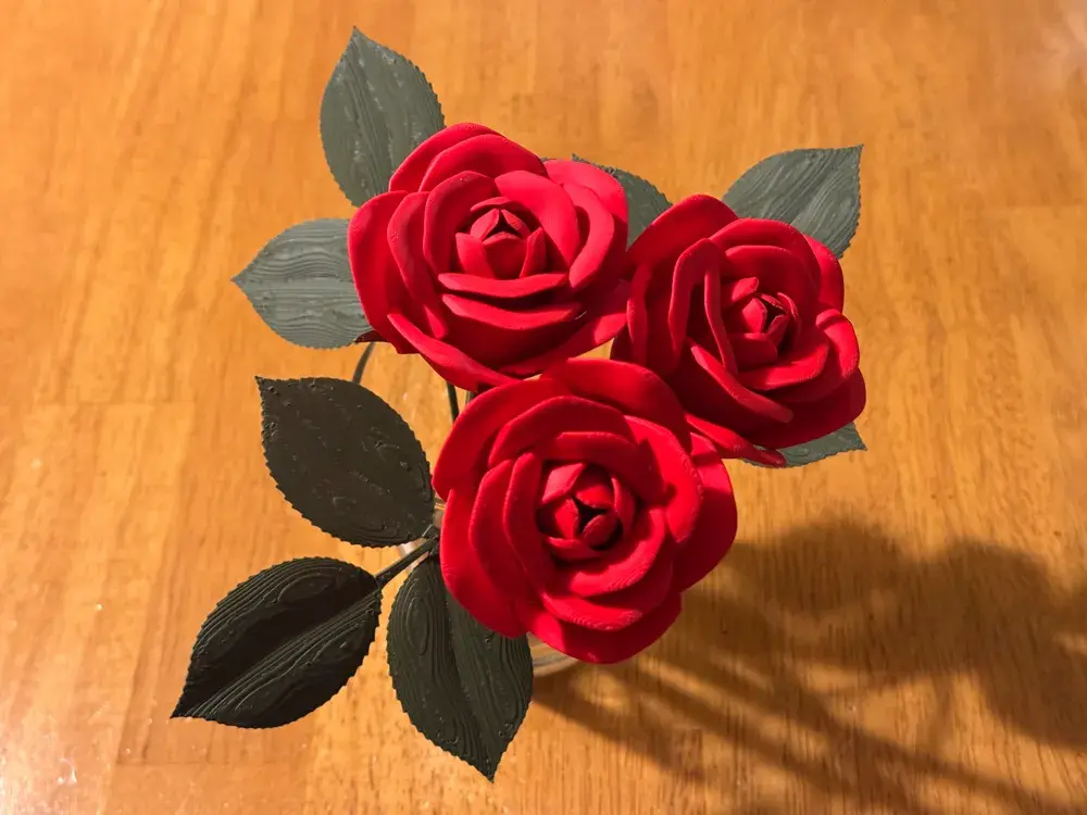 2025-01-09_35ea6ed9d2594.webp