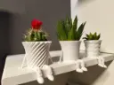 Mini Flower pot family