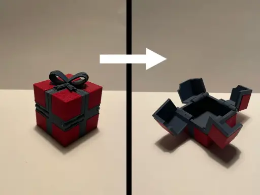 Gift Box Opening satisfaction