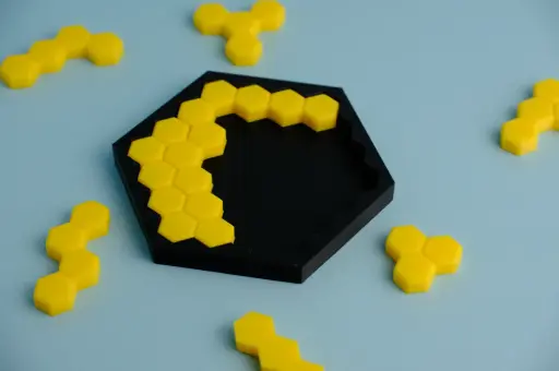  Bee honeycomb puzzle