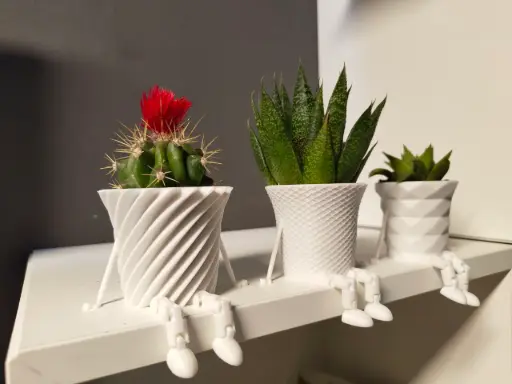 Mini Flower pot family